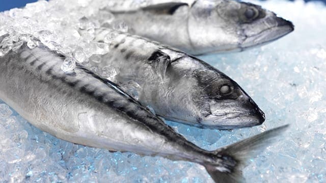 Agency warns FDA, FSIS about drug residue in seafood imports