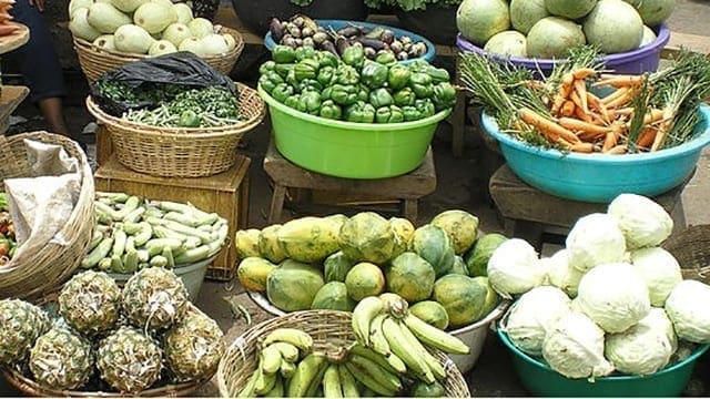 Organic Denmark supports Zanzibar farmers to export organic fruits and veges to EU