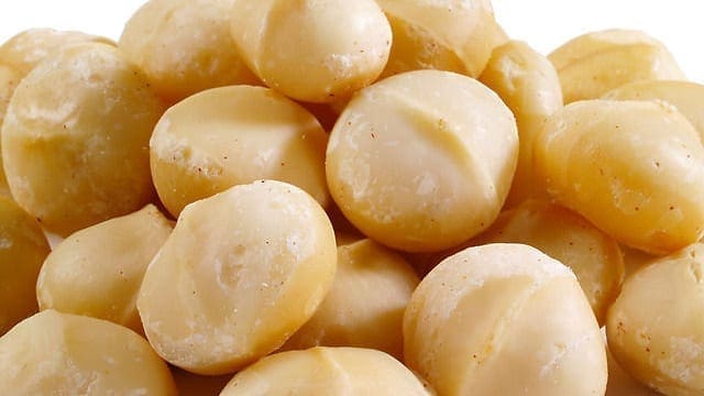 Farmers go nuts in South Africa over macadamia boom