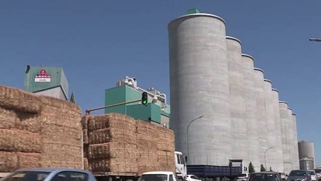 10.6m tons of maize harvested in South Africa so far