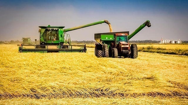 Brazil Agrobusiness Group to increase rice production