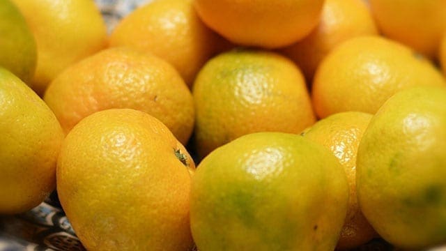 Tesco introduces sale of “green” satsumas to curb food waste
