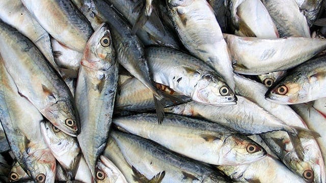 AfDB to increase fish production in Africa by 5m tonnes by 2025