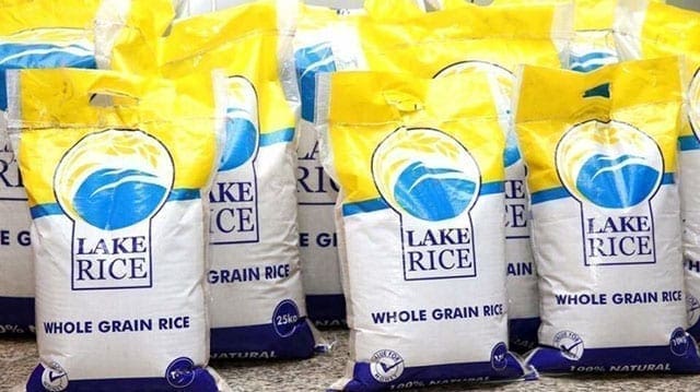 Rice in Nigeria: Building local capacity to grow, process vital grain