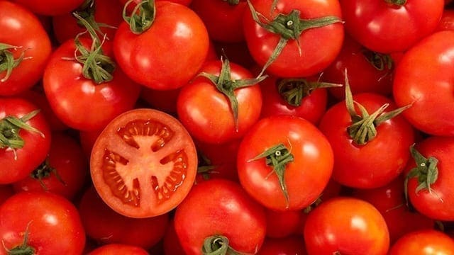 Local firm to set up tomato processing factory in Ethiopia