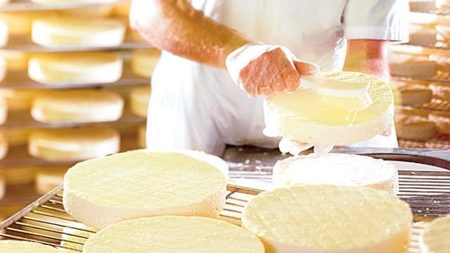 New York raw milk cheese company ordered to stop manufacture and sales