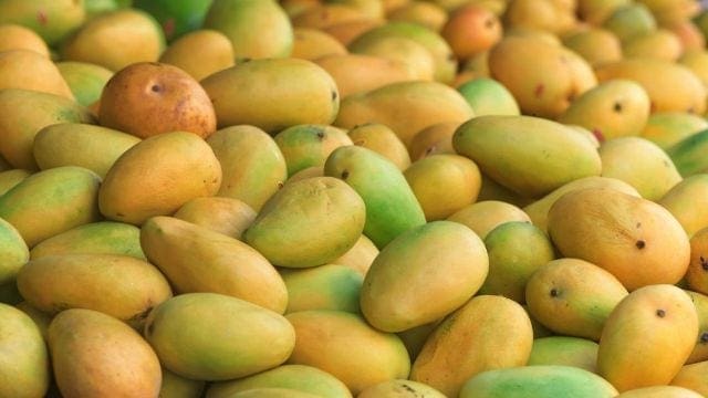 Kenyan mangoes to re-enter European market after almost a decade long ban
