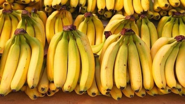 Belgian government injects US$1.29m in Tanzania’s banana research facility