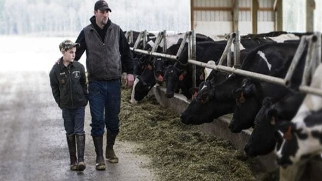 Dairy cooperatives Darigold and NDA announce carbon neutrality goal