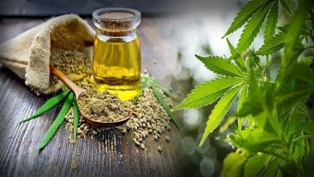 French flavors firm Robertet forms joint venture for Swiss hemp oil extraction