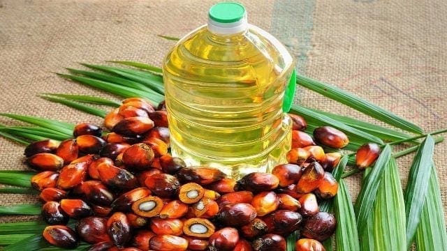 National Microfinance Bank to finance palm oil cultivation to cut on imports