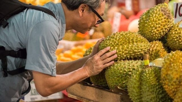 Malaysia secures export deal with China for frozen whole fruit durians