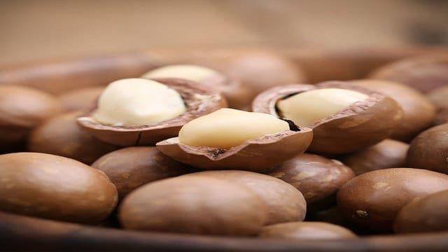 Sasini shifts focus to Asia as US macadamia demand dries up, plans market expansion amid sales decline 