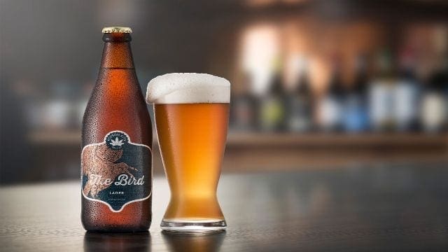 Brewery launches South Africa’s first cannabis lager beer with backing from top CEOs