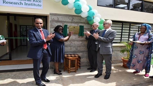 IRRI opens regional office in Kenya to boost Africa’s rice productivity and sufficiency