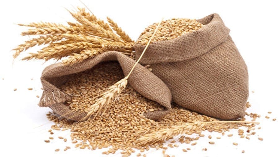 Government of India makes jute packaging mandatory for all food grains