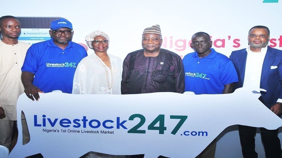 Nigeria launches first livestock ecommerce platform to transform the sector