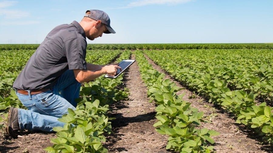 Olam partners Canvass Analytics in artificial intelligence for sustainable agriculture