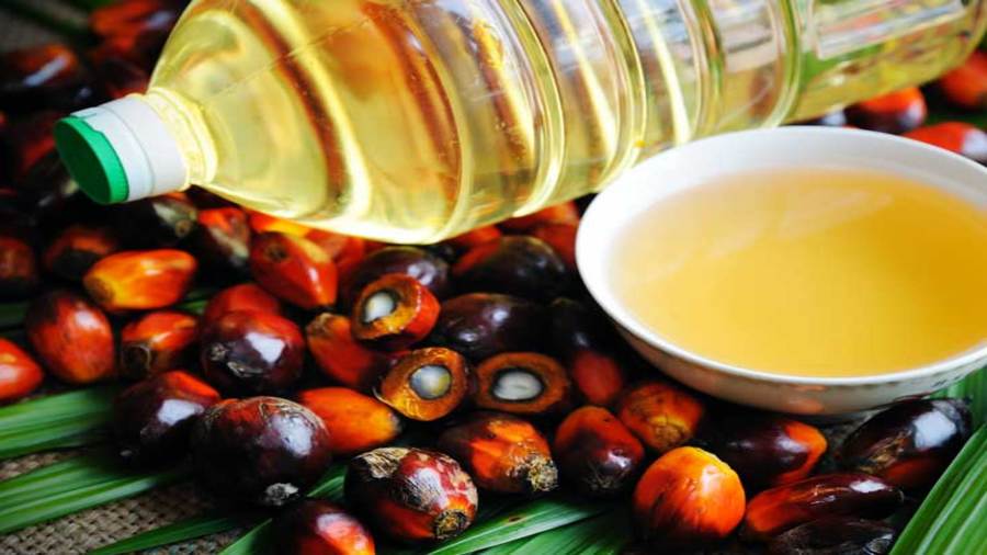 Ghana’s palm oil factory Birim resumes operation after 1D1F funding