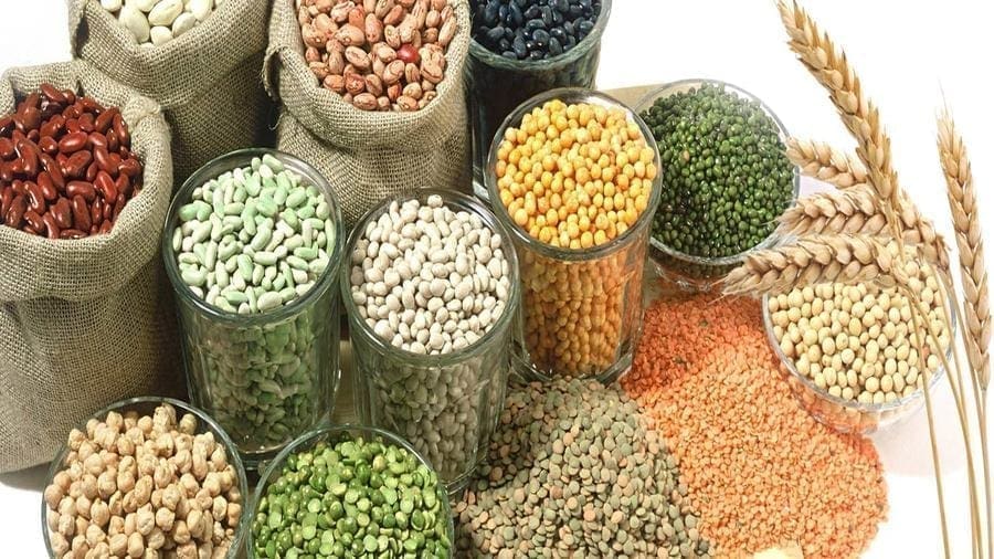 Ethiopia holds international conference on pulses, oilseeds and spices