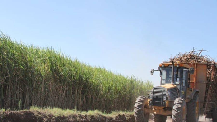Ethio-Sugar eyes acquisition of two sugar plants in privatisation deal