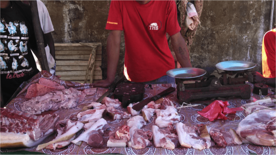 Malawi bans sale, consumption of bush meat to control anthrax outbreak