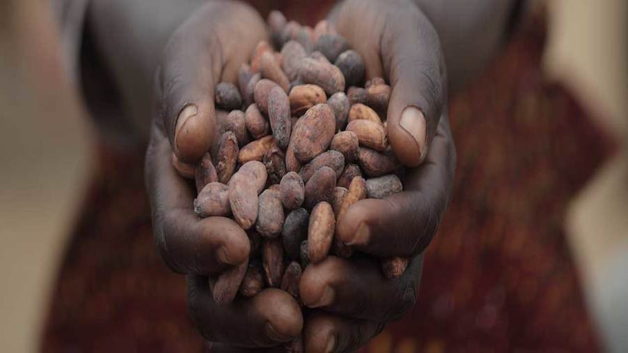 Olam Cocoa supports cocoa farmers in West and Central Africa to fight the spread of the COVID-19