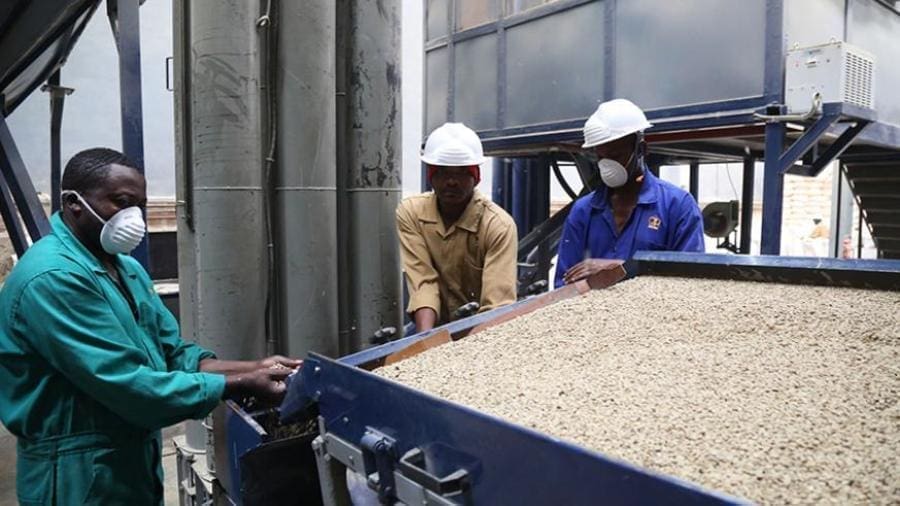 EU unveils US$11.3m fund to support horticultural, coffee value chains in Rwanda