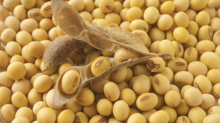 China’s soybean imports from the US up as Brazilian imports surge