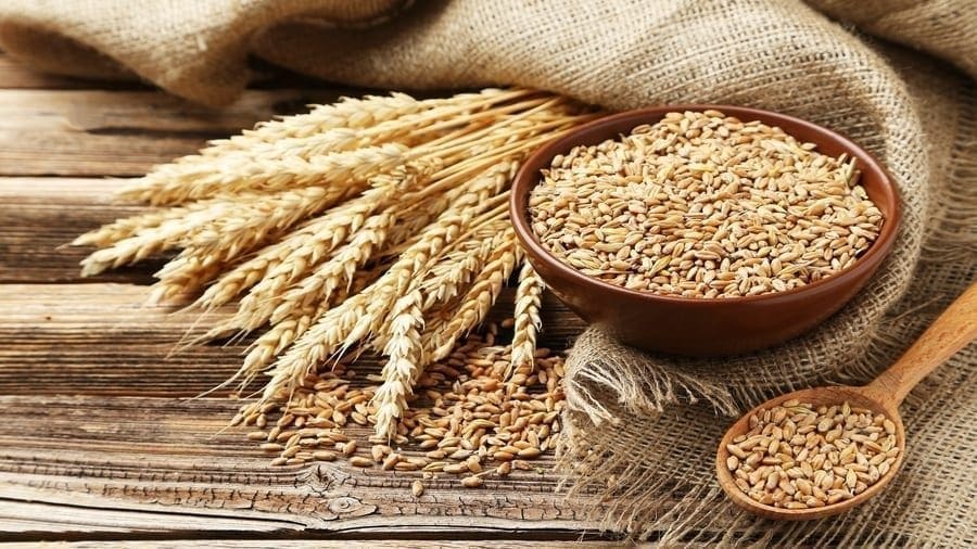 Egypt buys less wheat than anticipated at tender to boost reserves