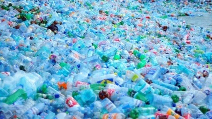 Singapore biotech start-up raises US$133m to battle the single-use plastic crisis