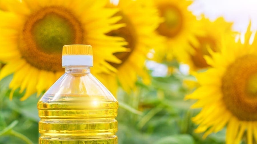 Tanzanian government calls on investors in edible oils as demand increases