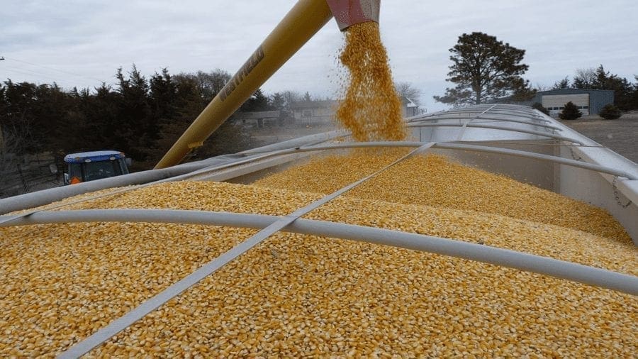 U.S. Grains Council seeks export opportunity in South Africa