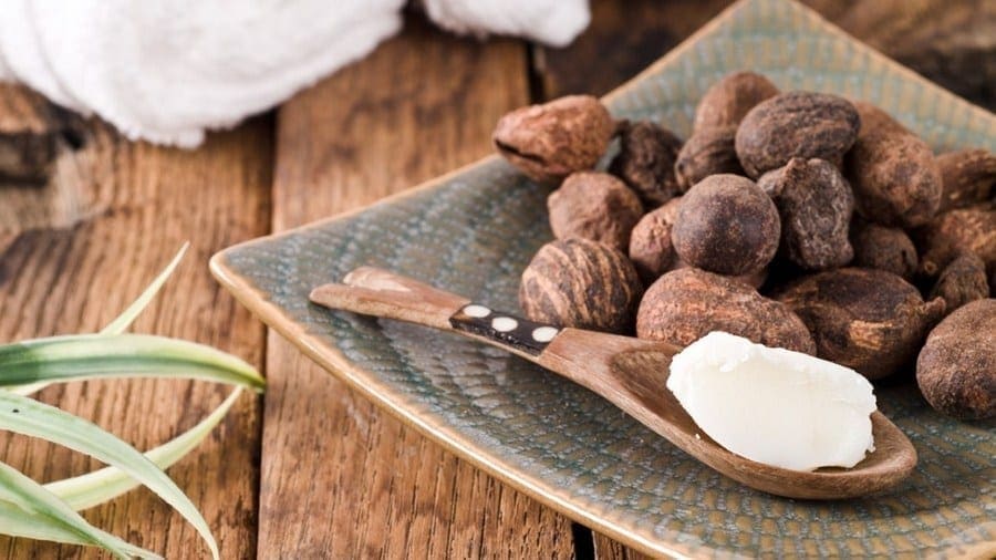 Ghana to host international conference on Shea nuts to boost industry