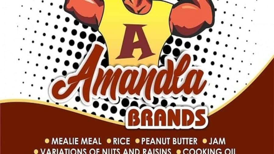 Zimbabwe’s food processing start-up Amandla Brands to explore new markets