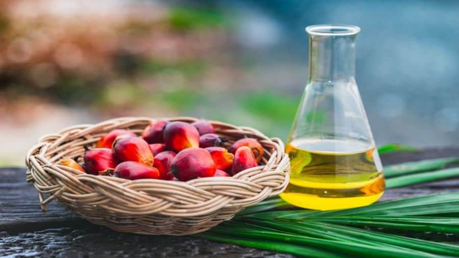 Nigeria’s palm oil imports from Malaysia surge by 34% in 2023
