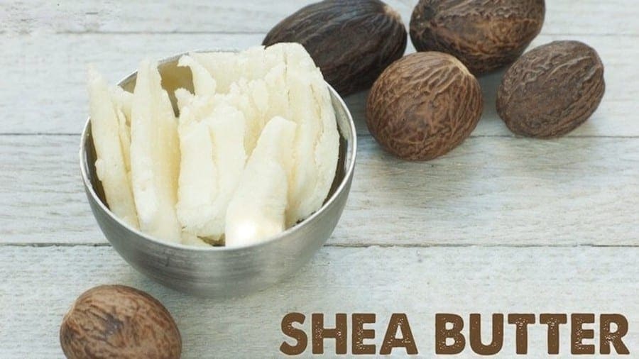 Ghanaian government to set up four shea butter processing factories
