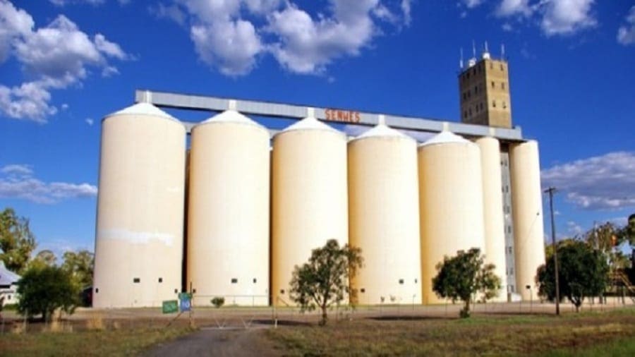 Zimbabwe’s Silo Foods Industries bids higher for grains to boost  stocks