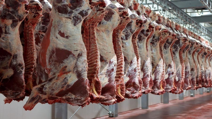 World Bank pumps US$7.93m in establishing abattoirs to boost livestock sector in Kenya