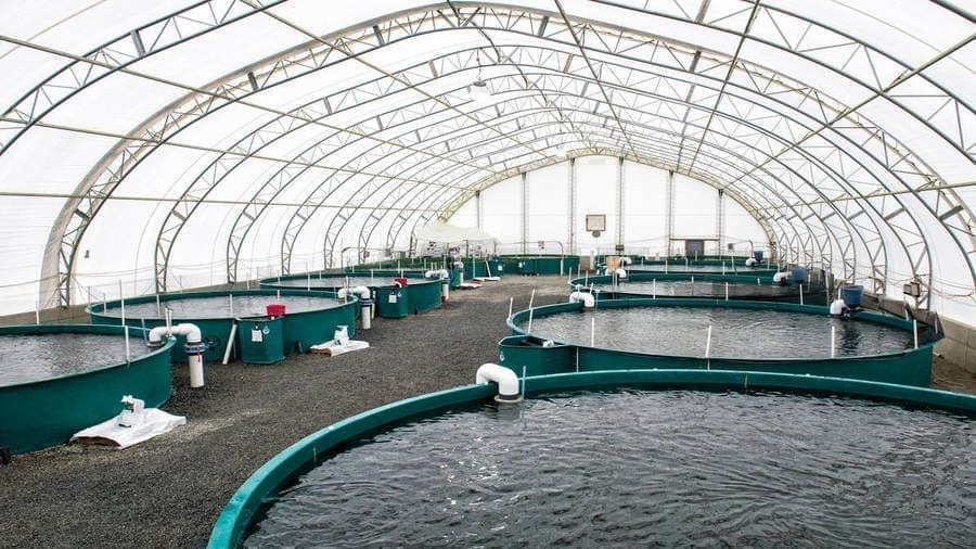 Namibia to invest US$2.64m in aquaculture to boost fishing industry