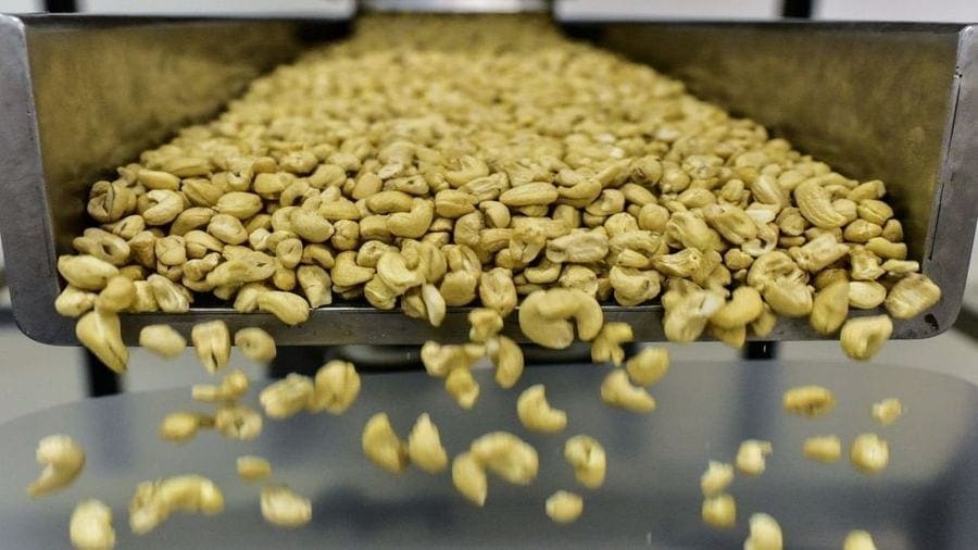 Tanzania’s annual cashew nut sales shrink 63% to US$196.5m