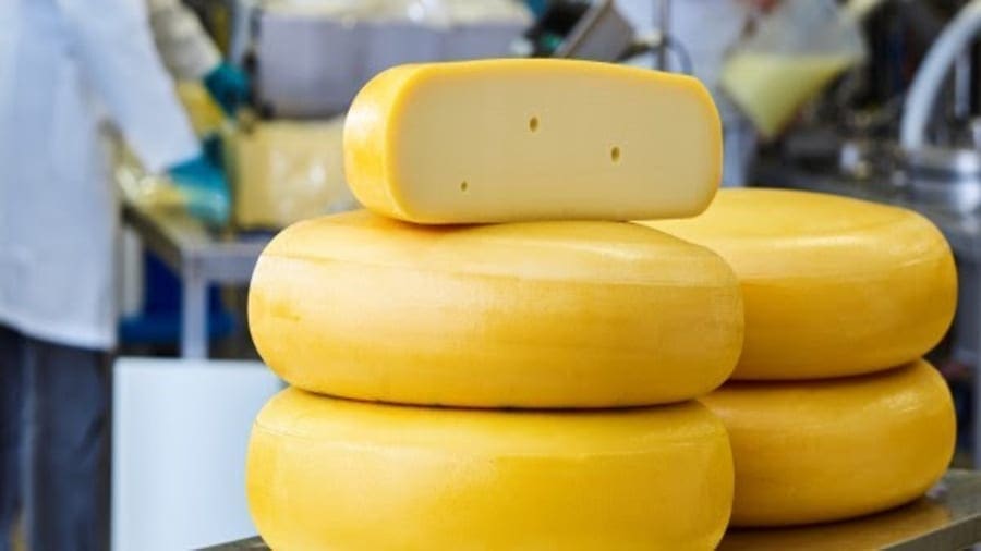 Chr. Hansen launches CHY-MAX® cheese enzyme that increases yield by 1%