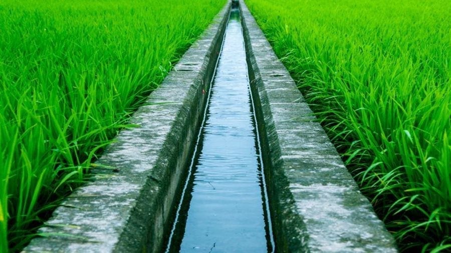 Rwanda in partnership with Howard Buffet inaugurates US$54m irrigation scheme
