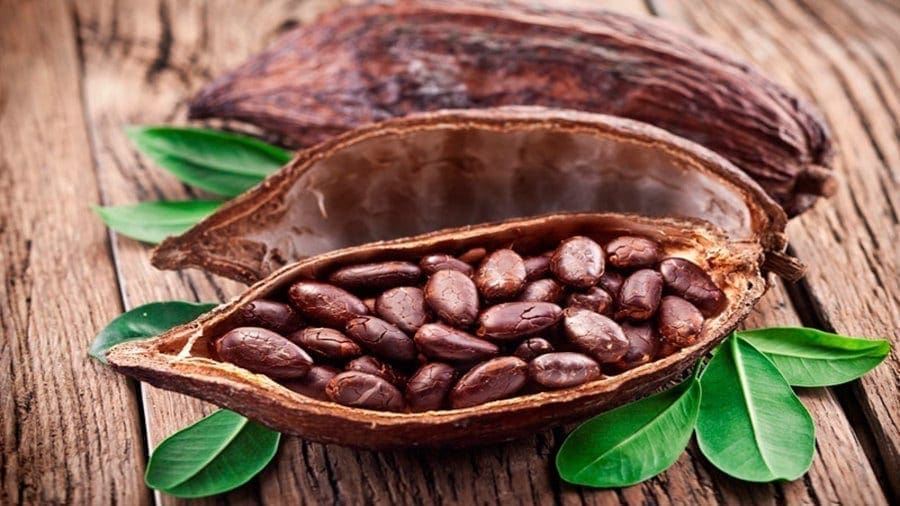 Government of Ghana to stimulate cocoa production with US$600m funding