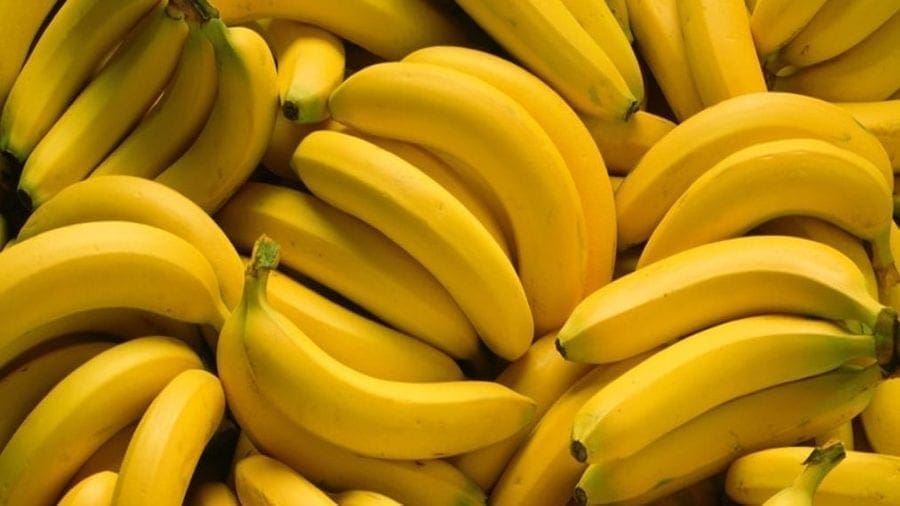 Somalia’s revives banana industry with first export shipment to Saudi Arabia