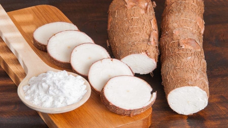 Kenya set to have a new genetically modified cassava variety subject to safety review