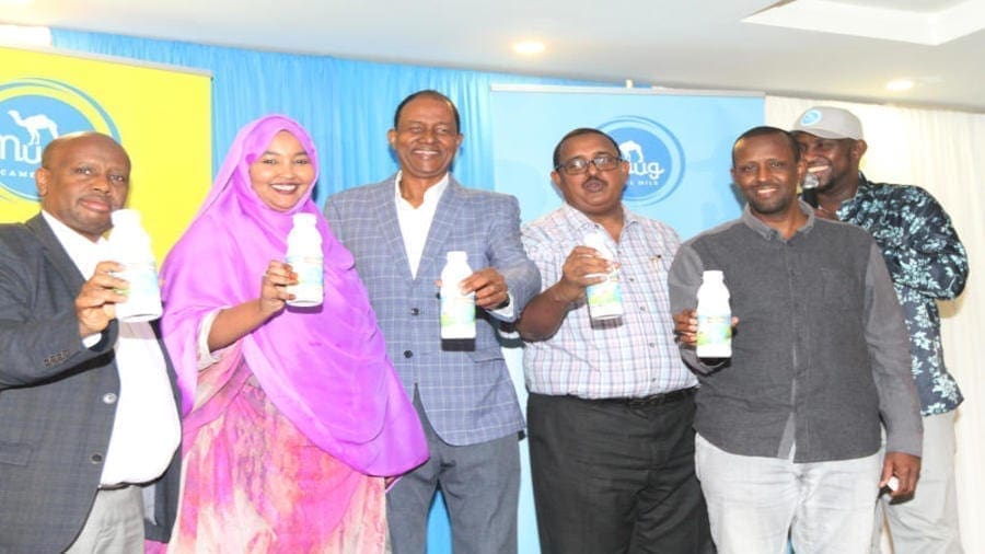 Kenyan firm launches commercial production of camel milk brands