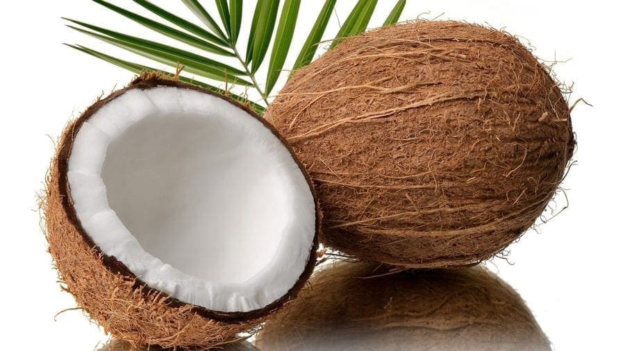 Kenya to set up US$2.26m coconut processing plant in the coastal region