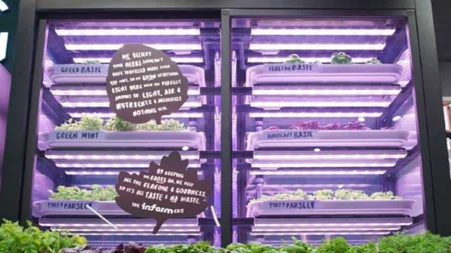 Mark & Spencer partners with infarm in promoting sustainable urban farming
