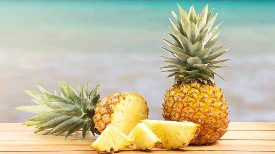 Japanese firm to invest US$40m in pineapple processing plant in Sierra Leone